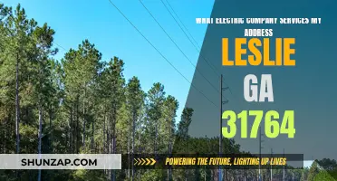 Electricity Providers in Leslie, GA: Powering Your Home