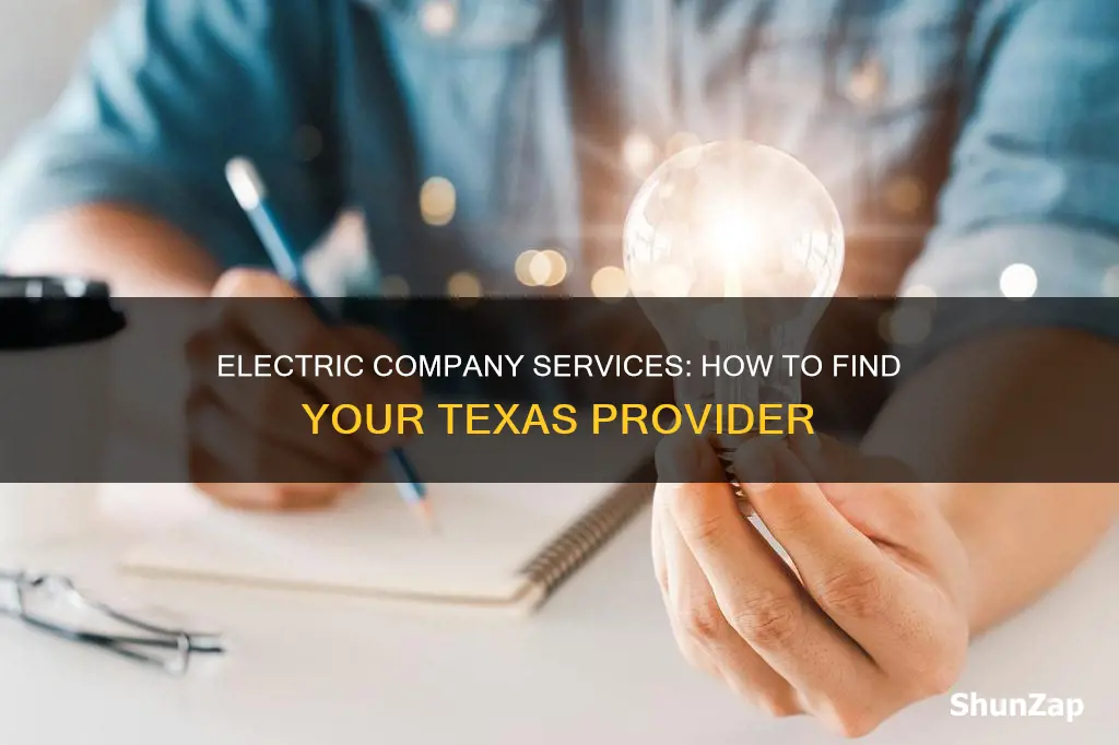 what electric company services my address texas