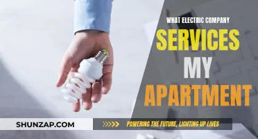 Unveiling Your Apartment's Power Source: Electric Company Secrets