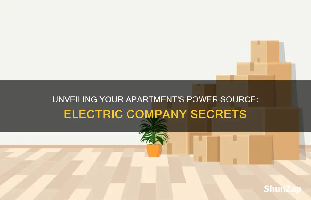 what electric company services my apartment