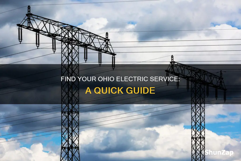 what electric company services my area ohio