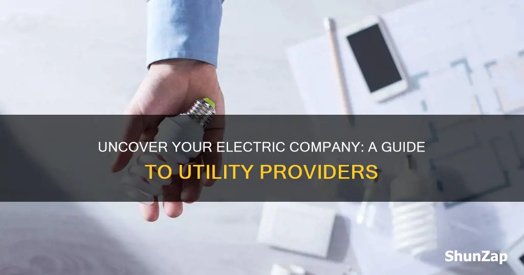 what electric company services my home