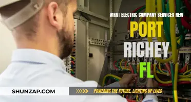 Powering New Port Richey: Electric Company Services Explained