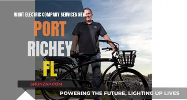 Electric Company Options for New Port Richey, Florida