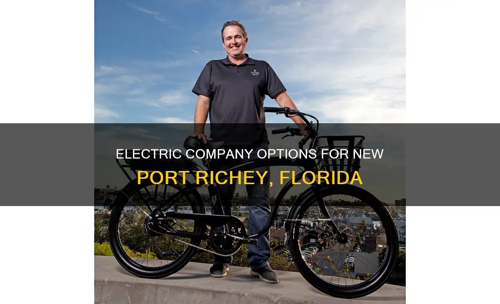 what electric company services new port richey fl