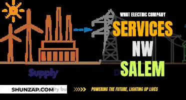 Electricity Solutions: NW Salem's Power Company Services