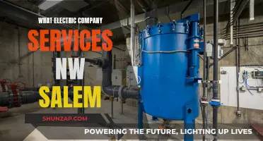 Electric Companies in Salem: Who Powers the Northwest?