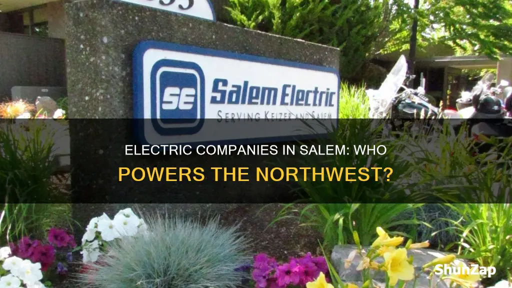 what electric company services nw salem