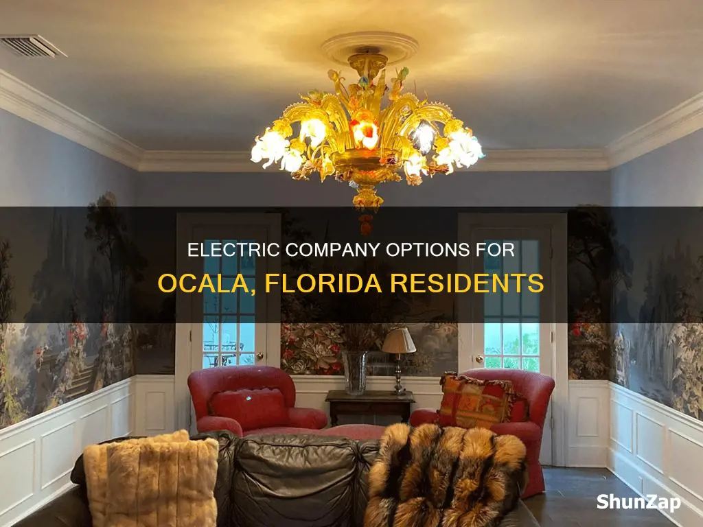 what electric company services ocala florida