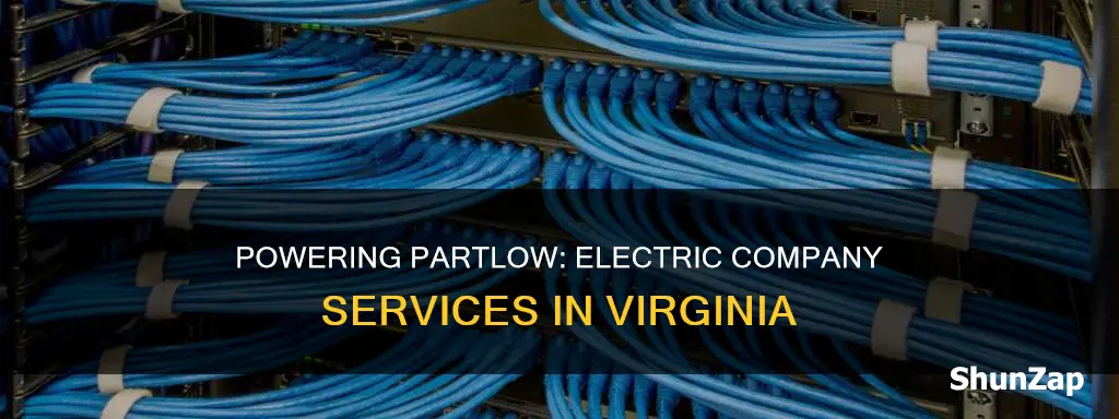 what electric company services partlow va