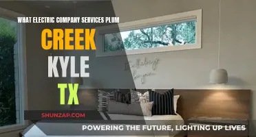 Electric Company Services in Plum Creek, Kyle, TX: Who's Available?