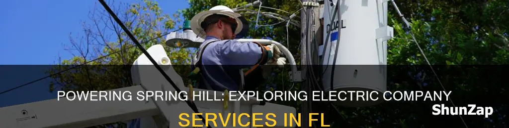 what electric company services spring hill fl