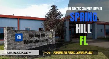 Electric Company Options for Spring Hill, Florida Residents