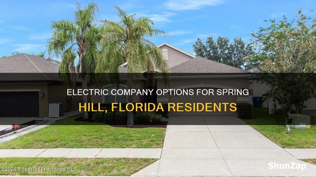 what electric company services spring hill fl