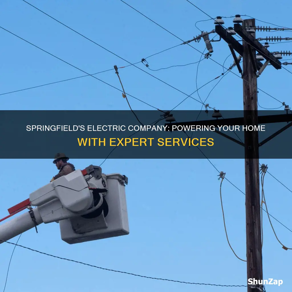 what electric company services springfield oregon