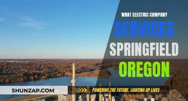 Springfield, Oregon: Electric Company Services and Providers