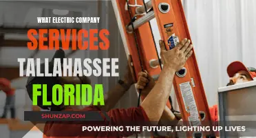 Electric Company Options in Tallahassee, Florida: Who to Choose?