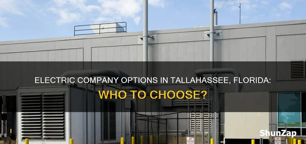 what electric company services tallahassee florida