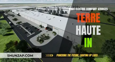 Electric Company Services: Terre Haute, Indiana Options Explored