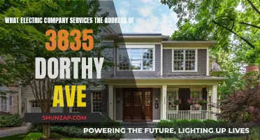 Electricity Service: Who Powers Your Home at 3835 Dorthy Ave?