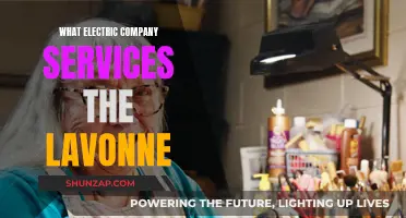 Powering Lavonne: Unveiling the Electric Company's Role