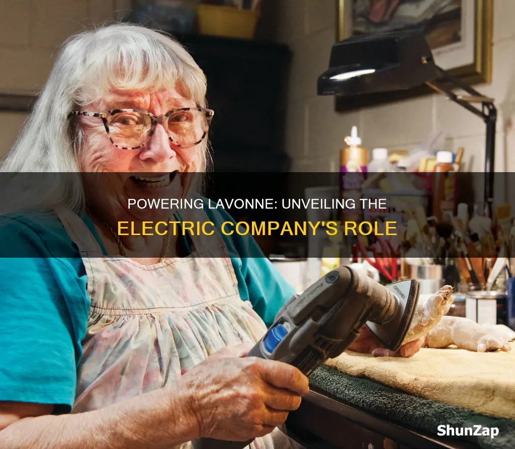 what electric company services the lavonne