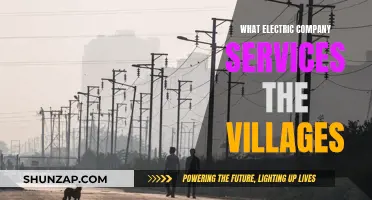 Powering the Villages: Unveiling the Electric Company's Role