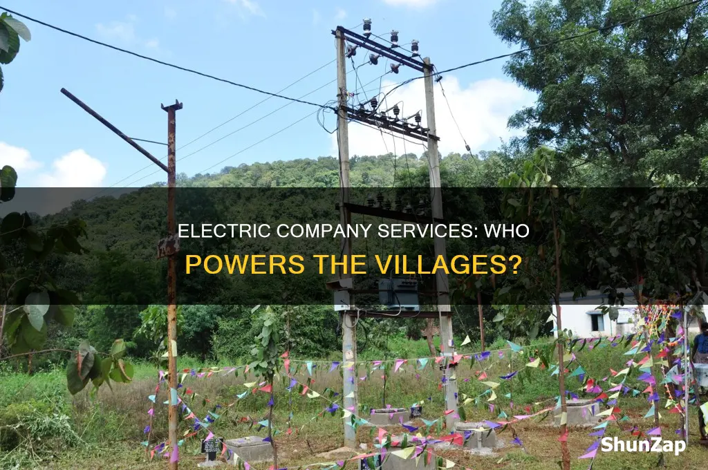 what electric company services the villages