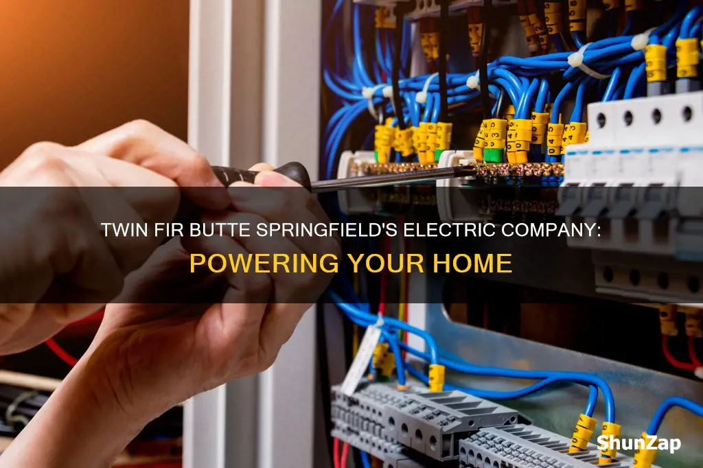 what electric company services twin fir butte springfield or