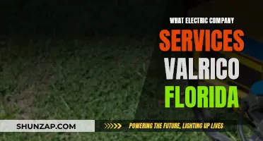 Valrico's Electric Company: Powering Your Home with Expert Services