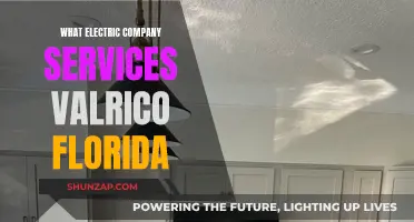 Electric Company Options for Valrico, Florida Residents
