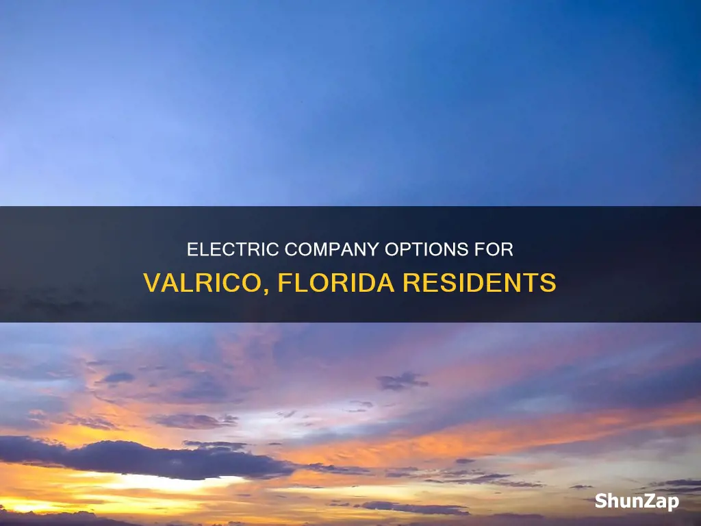 what electric company services valrico florida
