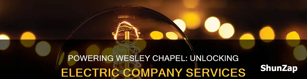 what electric company services wesley chapel