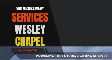 Electric Company Services: Who Powers Wesley Chapel?