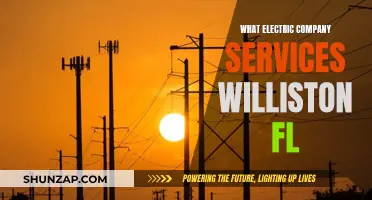 Powering Williston: Exploring Electric Company Services in Florida