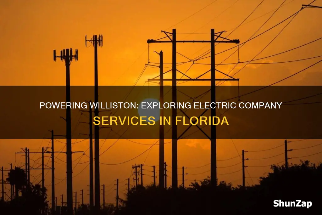 what electric company services williston fl