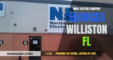 Electric Company Services: Williston, FL Options and Availability