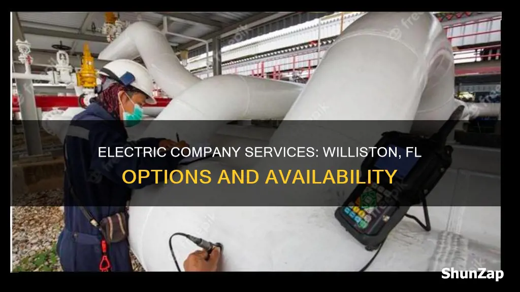 what electric company services williston fl