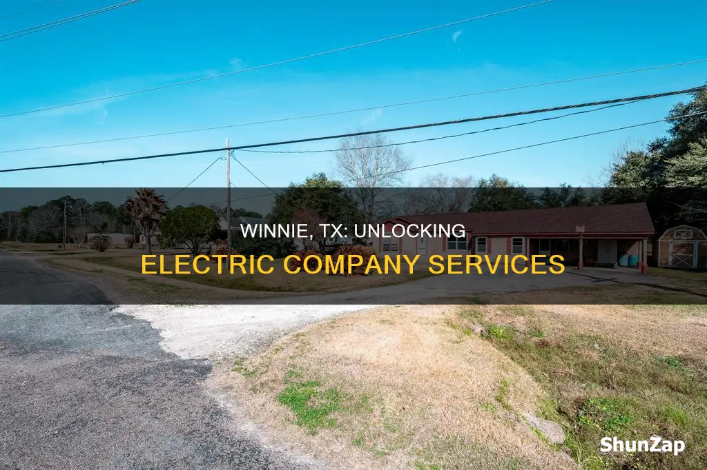 what electric company services winnie tx