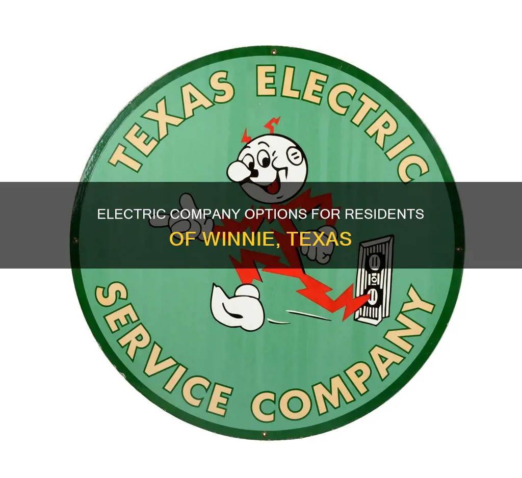 what electric company services winnie tx