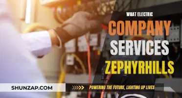 Powering Zephyrhills: Exploring Electric Company Services and Solutions