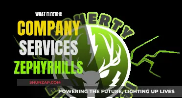 Electric Company Options for Zephyrhills Residents