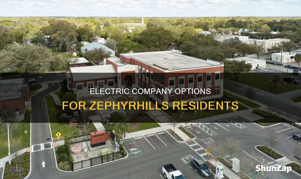 what electric company services zephyrhills