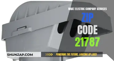 Electric Company Options for Residents in Zip Code 21787