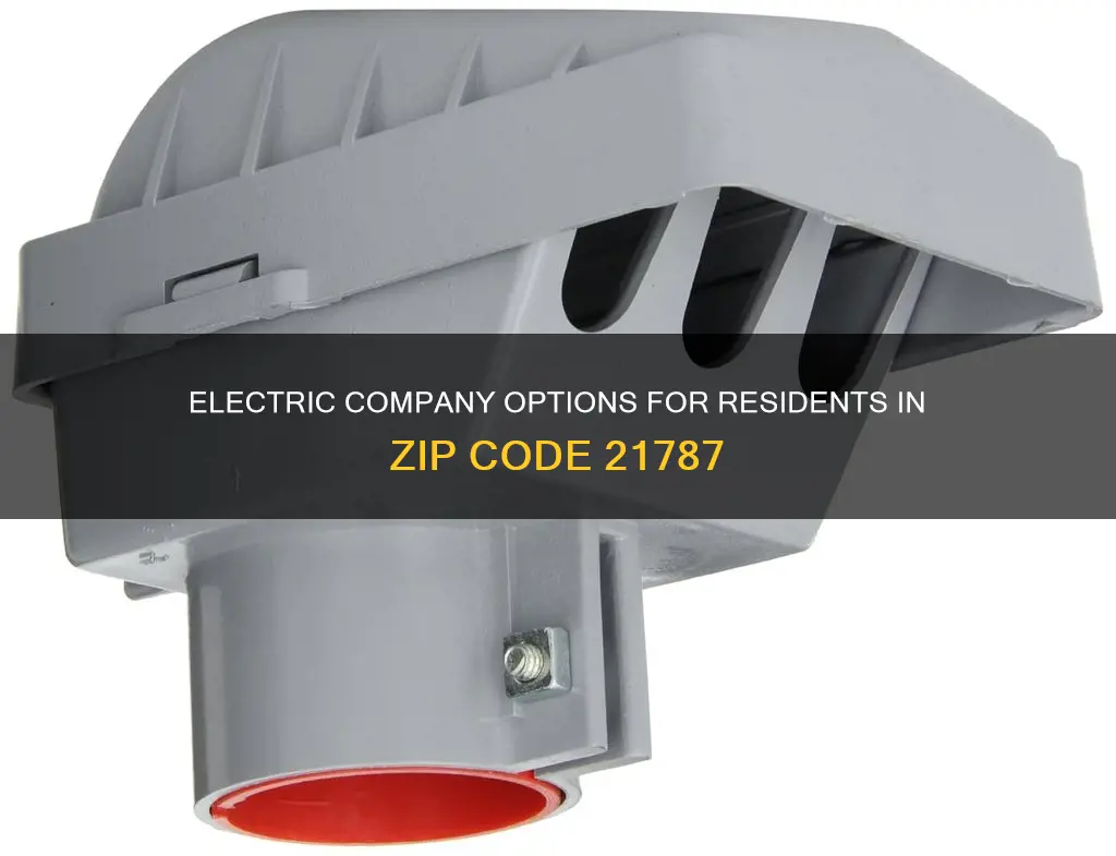 what electric company services zip code 21787