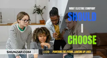 Electric Company Options: Choosing the Best Provider for You