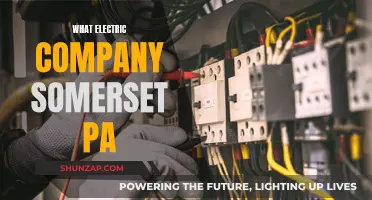 Somerset PA's Electric Company: Powering the Community with Sustainable Energy Solutions