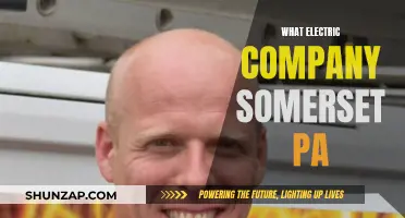 Electric Company Options in Somerset, PA: Your Guide