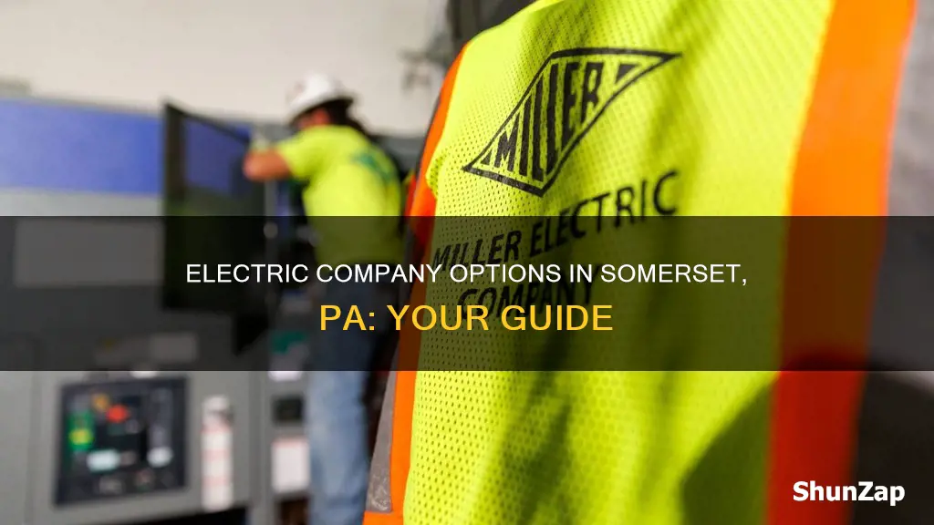 what electric company somerset pa