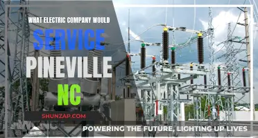 Pineville's Electric Power: Unlocking Energy Solutions for a Brighter Future